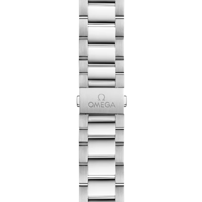Seamaster Aqua Terra Worldtimer