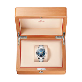 Seamaster Aqua Terra Worldtimer