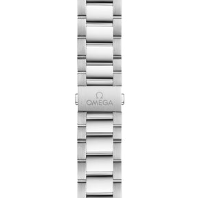 Seamaster Aqua Terra Worldtimer