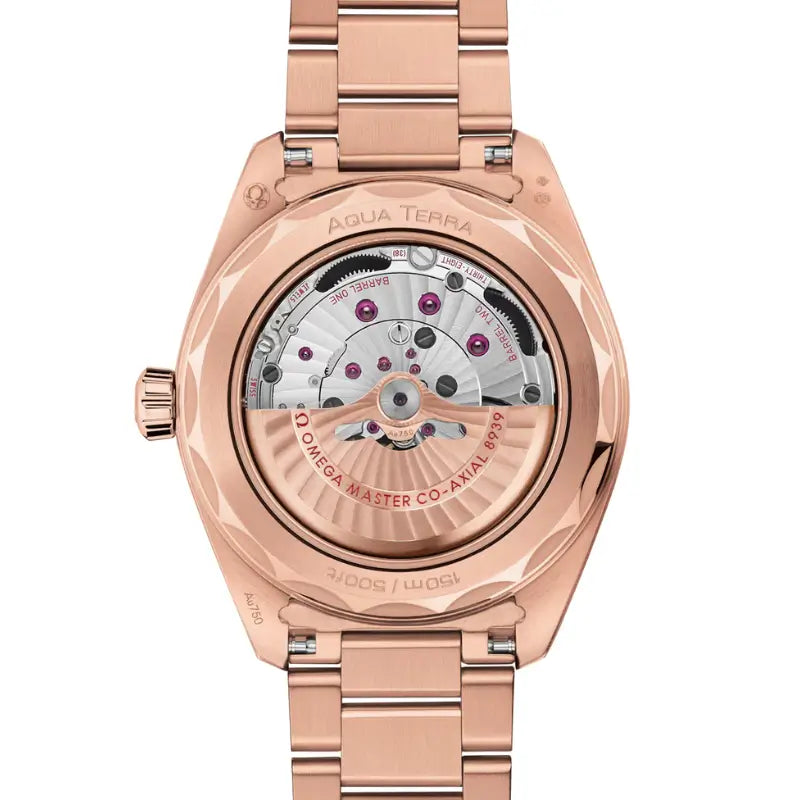 Seamaster Aqua Terra Worldtimer