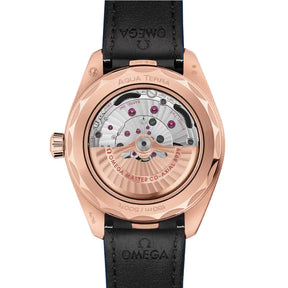 Seamaster Aqua Terra Worldtimer