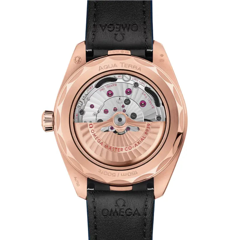 Seamaster Aqua Terra Worldtimer