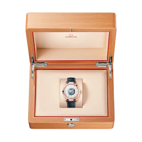 Seamaster Aqua Terra Worldtimer