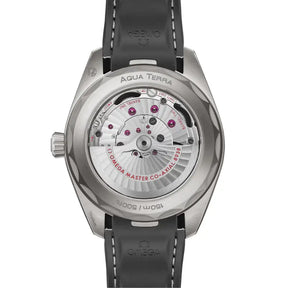 Seamaster Aqua Terra Worldtimer