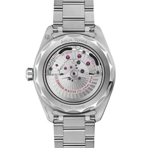 Seamaster Aqua Terra Worldtimer