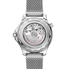 Seamaster Diver 300M